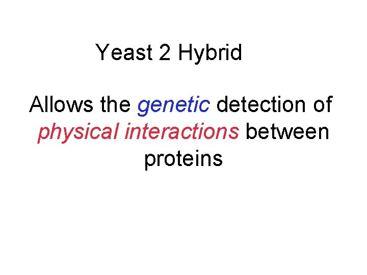 Yeast 2 Hybrid Allows the genetic detection of physical interactions between proteins 