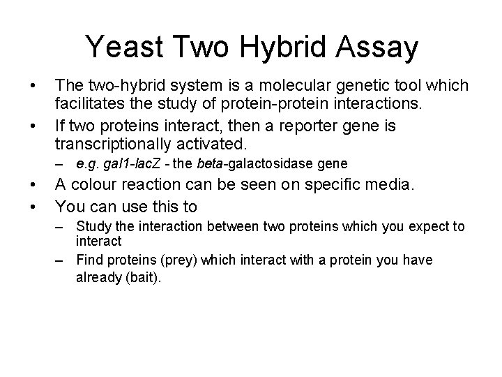 Yeast Two Hybrid Assay • • The two-hybrid system is a molecular genetic tool