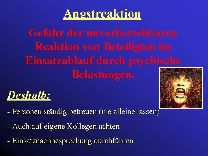 Angstreaktion Gefahr der unvorhersehbaren Reaktion von Beteiligten im Einsatzablauf durch psychische Belastungen. Deshalb: -