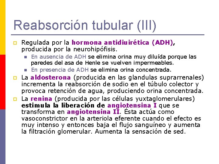 Reabsorción tubular (III) p Regulada por la hormona antidiuirética (ADH), producida por la neurohipófisis.