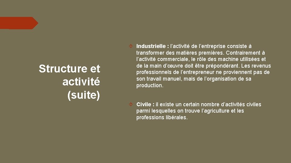 Structure et activité (suite) Industrielle : l’activité de l’entreprise consiste à transformer des matières