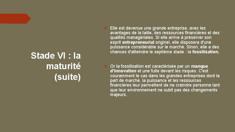 Stade VI : la maturité (suite) Elle est devenue une grande entreprise, avec les