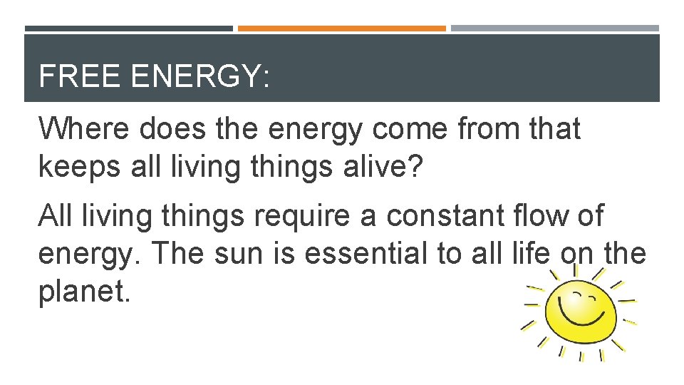 FREE ENERGY: Where does the energy come from that keeps all living things alive?
