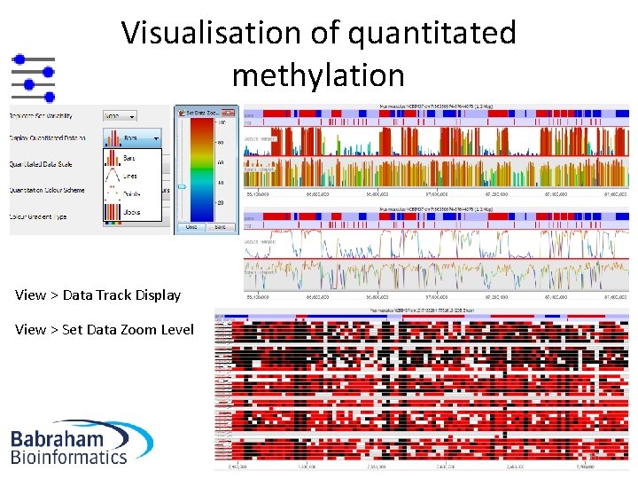 Visualisation of quantitated methylation View > Data Track Display View > Set Data Zoom