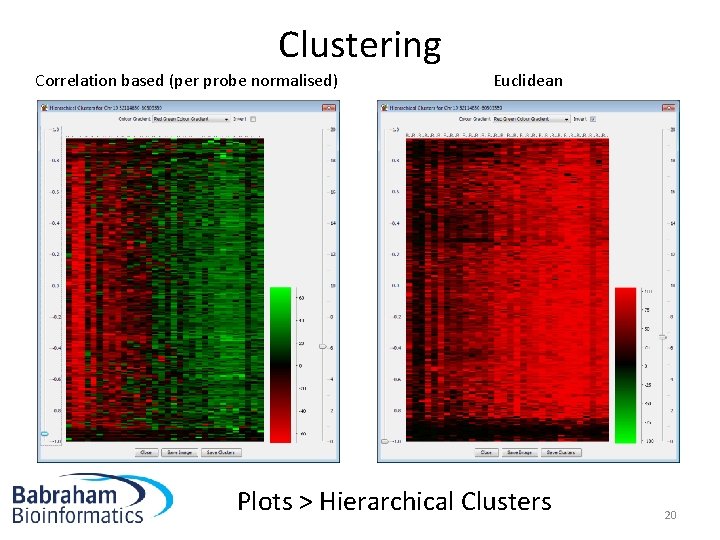 Clustering Correlation based (per probe normalised) Euclidean Plots > Hierarchical Clusters 20 