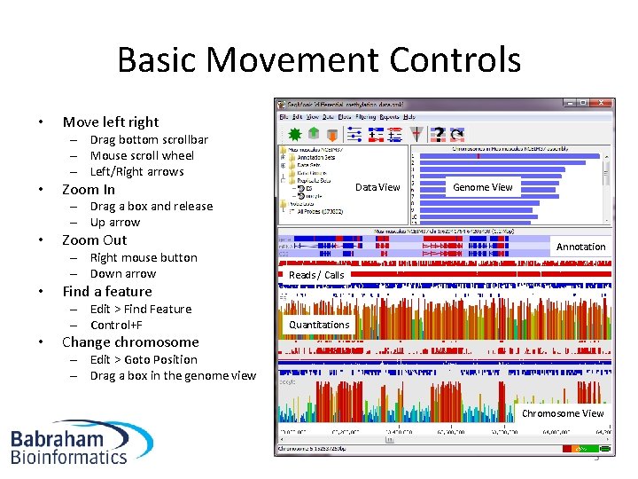 Basic Movement Controls • Move left right – Drag bottom scrollbar – Mouse scroll