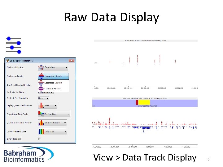 Raw Data Display View > Data Track Display 6 