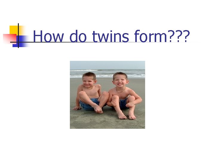 How do twins form? ? ? 