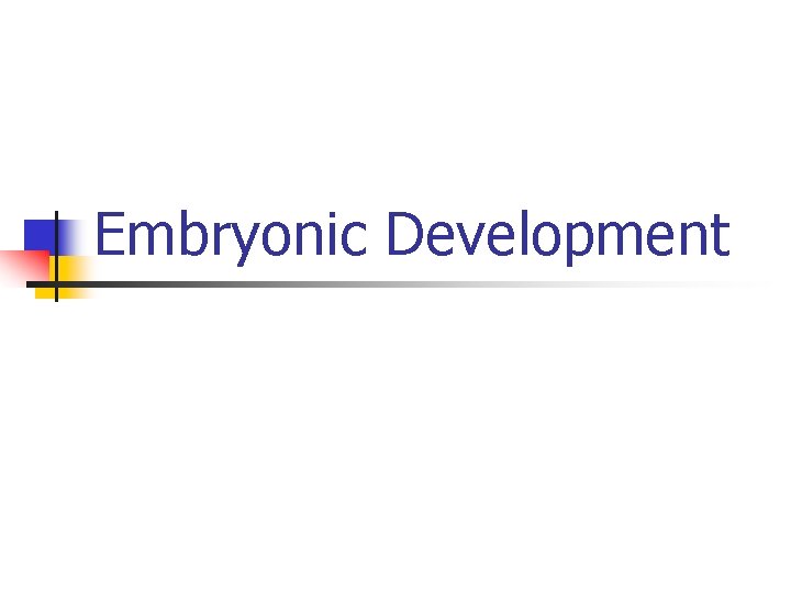 Embryonic Development 