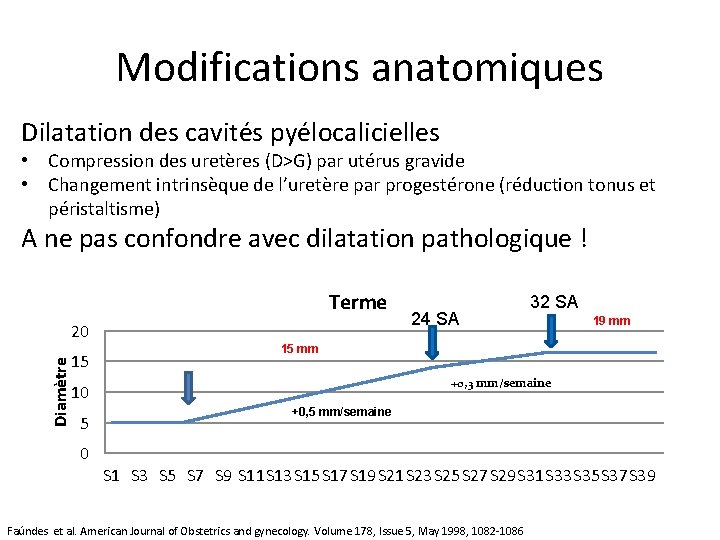 Modifications anatomiques Dilatation des cavités pyélocalicielles • Compression des uretères (D>G) par utérus gravide