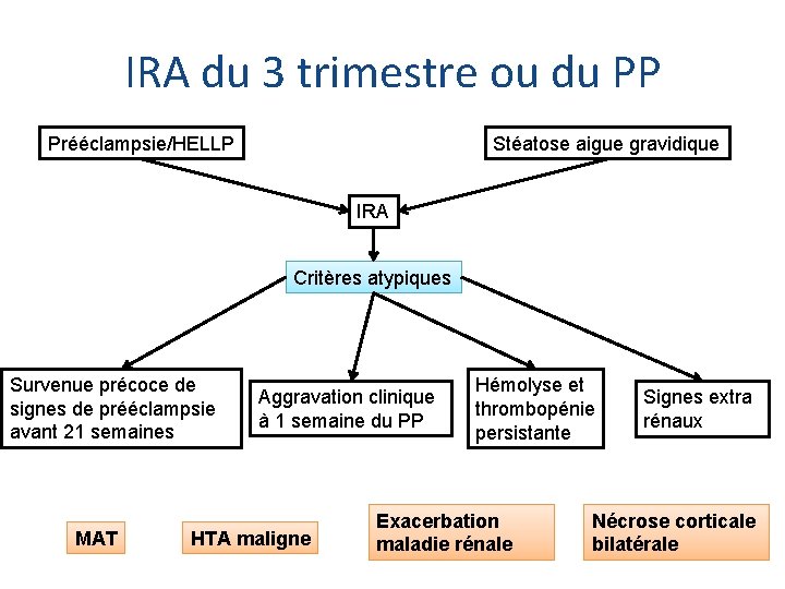 IRA du 3 trimestre ou du PP Prééclampsie/HELLP Stéatose aigue gravidique IRA Critères atypiques