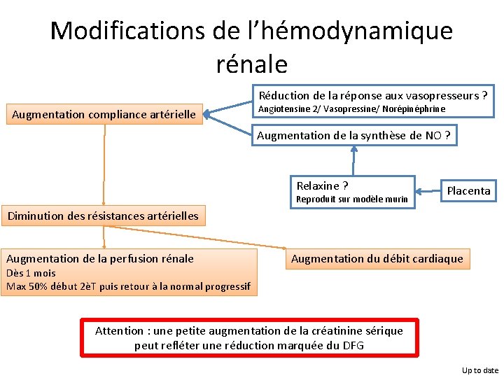 Modifications de l’hémodynamique rénale Réduction de la réponse aux vasopresseurs ? Augmentation compliance artérielle
