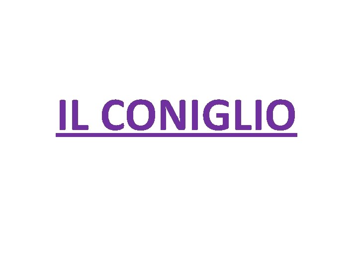 IL CONIGLIO 