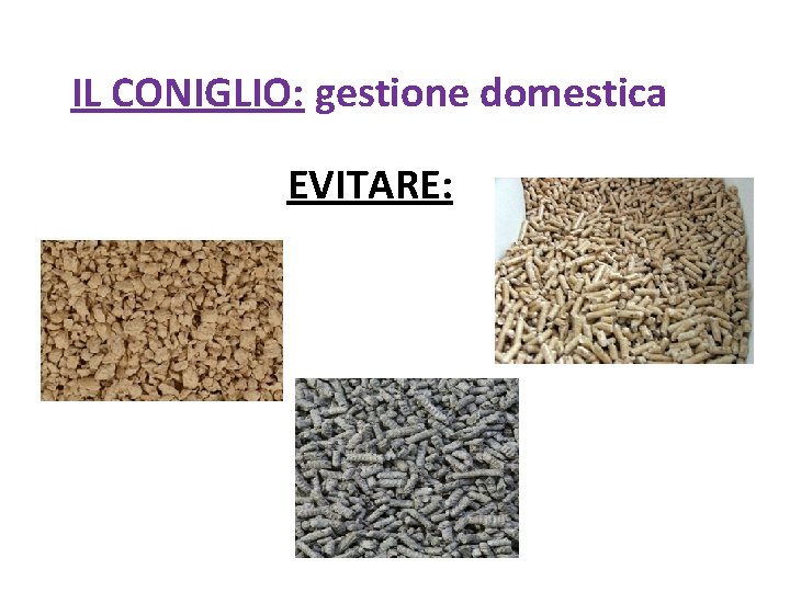 IL CONIGLIO: gestione domestica EVITARE: 