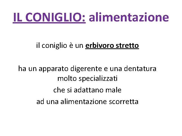 IL CONIGLIO: alimentazione il coniglio è un erbivoro stretto ha un apparato digerente e