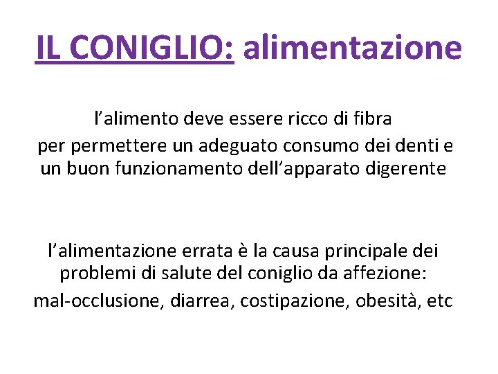 IL CONIGLIO: alimentazione l’alimento deve essere ricco di fibra permettere un adeguato consumo dei