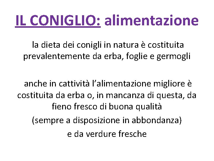 IL CONIGLIO: alimentazione la dieta dei conigli in natura è costituita prevalentemente da erba,
