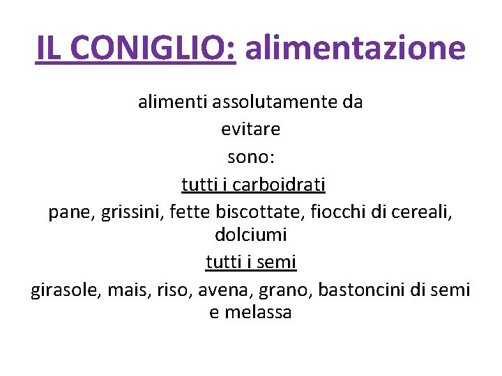 IL CONIGLIO: alimentazione alimenti assolutamente da evitare sono: tutti i carboidrati pane, grissini, fette