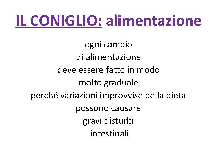 IL CONIGLIO: alimentazione ogni cambio di alimentazione deve essere fatto in modo molto graduale