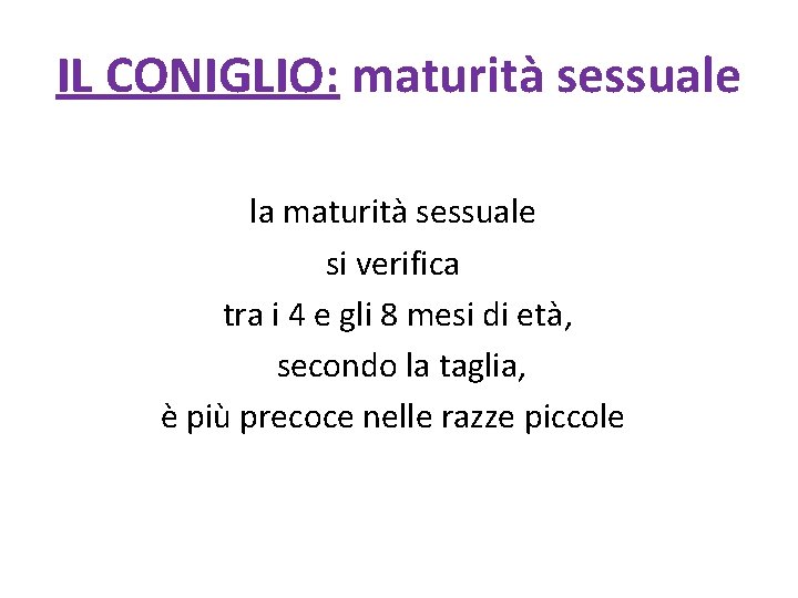 IL CONIGLIO: maturità sessuale la maturità sessuale si verifica tra i 4 e gli