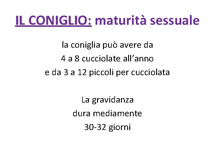IL CONIGLIO: maturità sessuale la coniglia può avere da 4 a 8 cucciolate all’anno