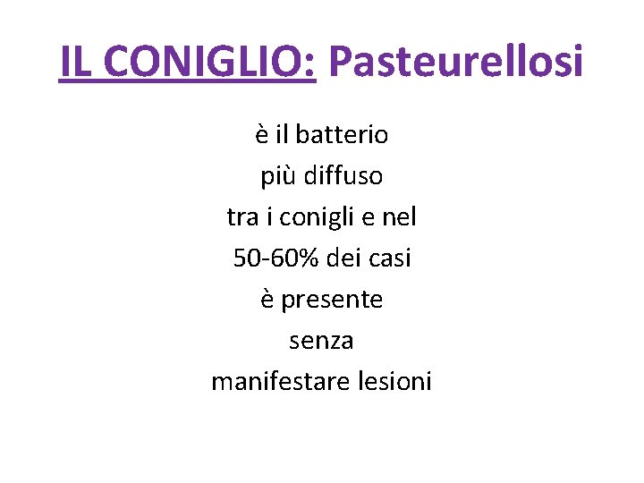 IL CONIGLIO: Pasteurellosi è il batterio più diffuso tra i conigli e nel 50