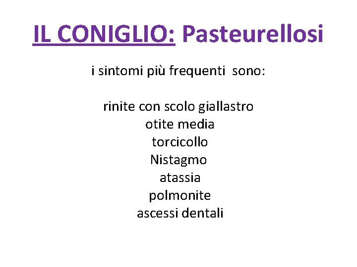 IL CONIGLIO: Pasteurellosi i sintomi più frequenti sono: rinite con scolo giallastro otite media