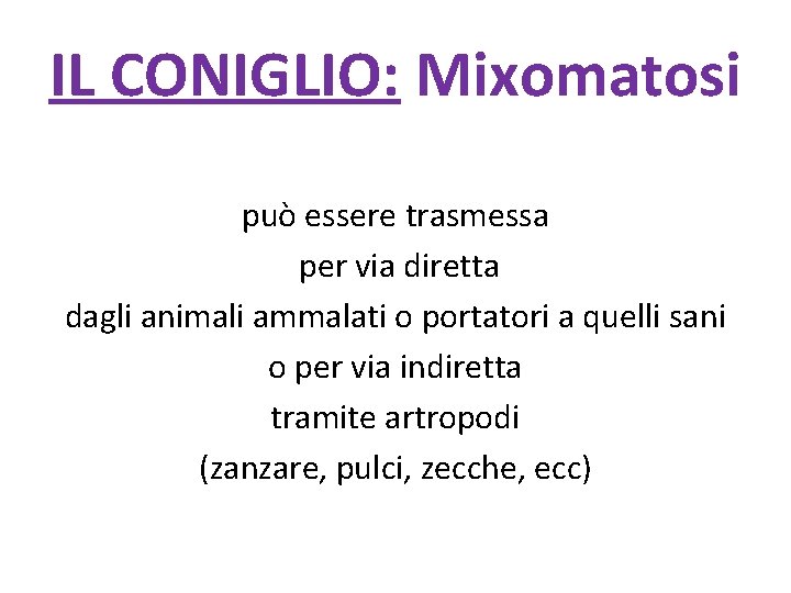 IL CONIGLIO: Mixomatosi può essere trasmessa per via diretta dagli animali ammalati o portatori