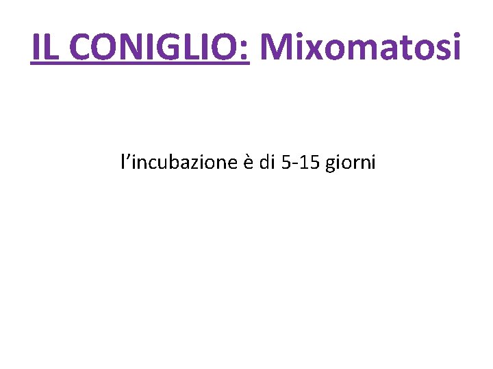 IL CONIGLIO: Mixomatosi l’incubazione è di 5 -15 giorni 