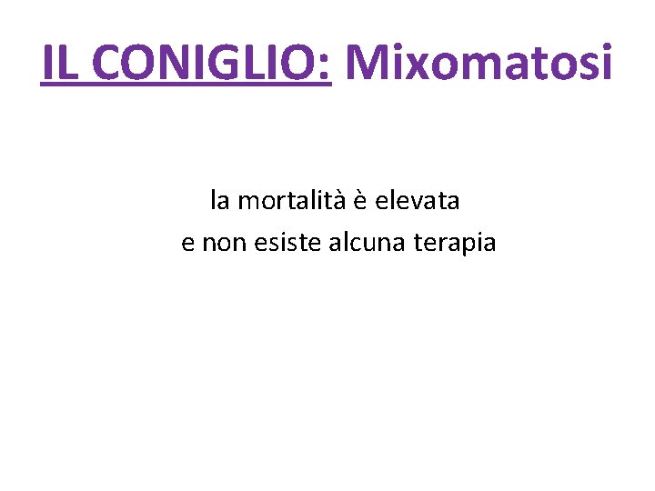 IL CONIGLIO: Mixomatosi la mortalità è elevata e non esiste alcuna terapia 