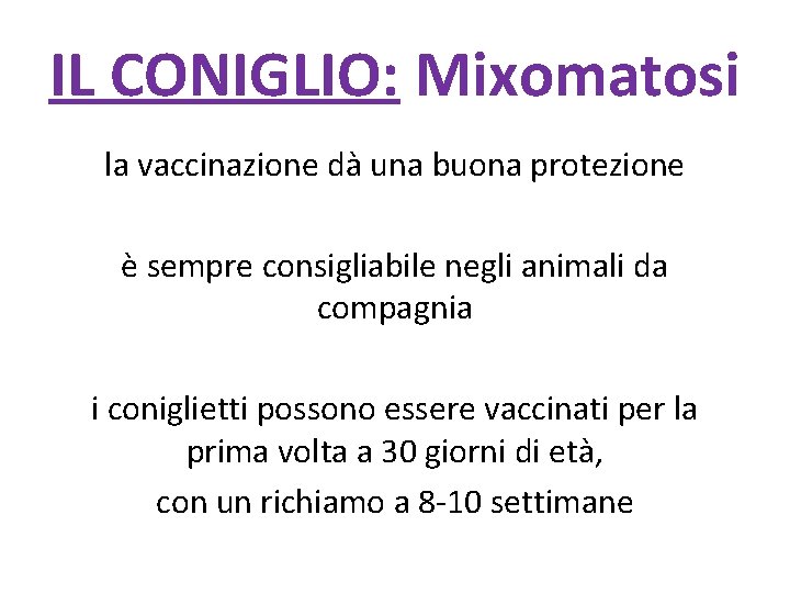IL CONIGLIO: Mixomatosi la vaccinazione dà una buona protezione è sempre consigliabile negli animali