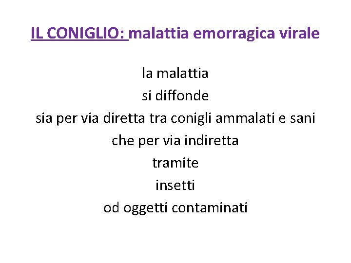 IL CONIGLIO: malattia emorragica virale la malattia si diffonde sia per via diretta tra