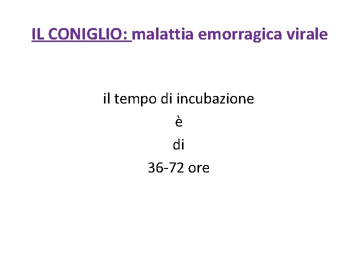 IL CONIGLIO: malattia emorragica virale il tempo di incubazione è di 36 -72 ore
