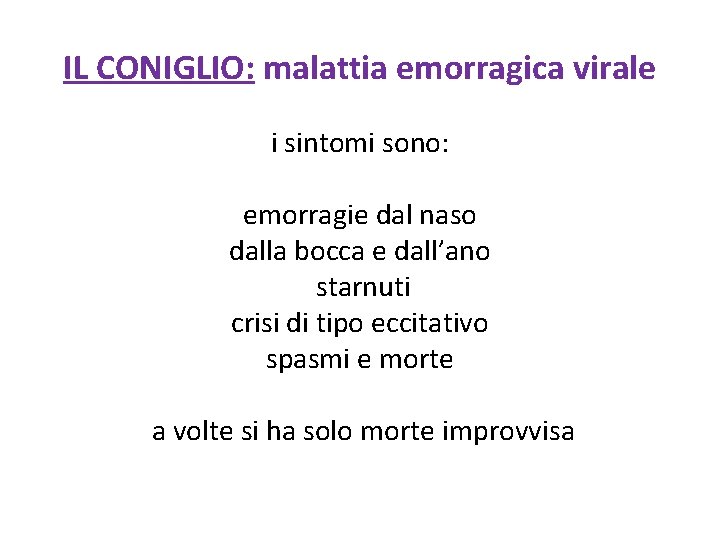 IL CONIGLIO: malattia emorragica virale i sintomi sono: emorragie dal naso dalla bocca e