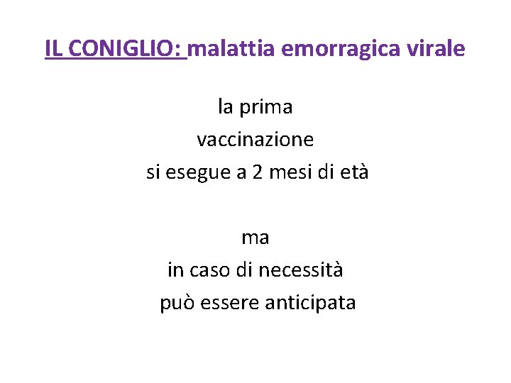 IL CONIGLIO: malattia emorragica virale la prima vaccinazione si esegue a 2 mesi di