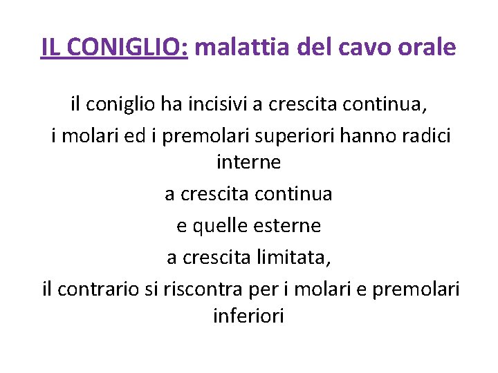 IL CONIGLIO: malattia del cavo orale il coniglio ha incisivi a crescita continua, i
