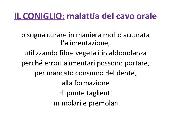 IL CONIGLIO: malattia del cavo orale bisogna curare in maniera molto accurata l’alimentazione, utilizzando