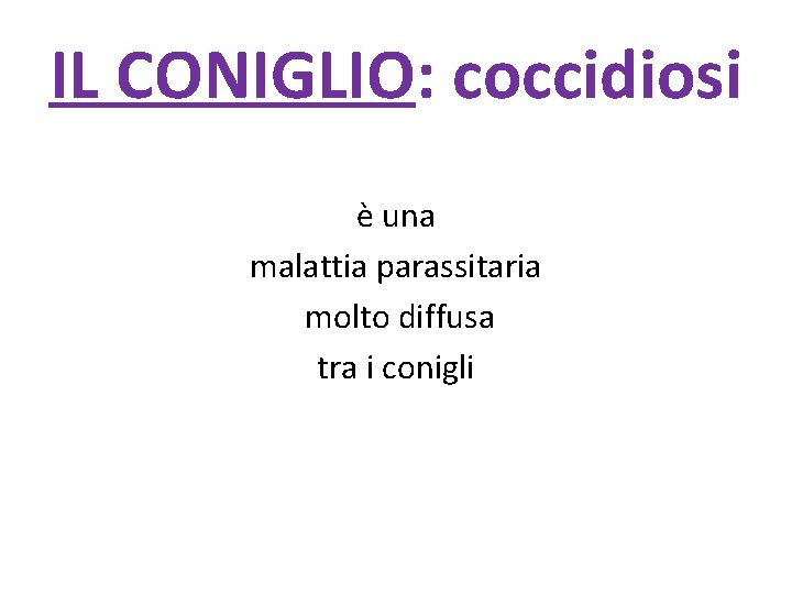 IL CONIGLIO: coccidiosi è una malattia parassitaria molto diffusa tra i conigli 