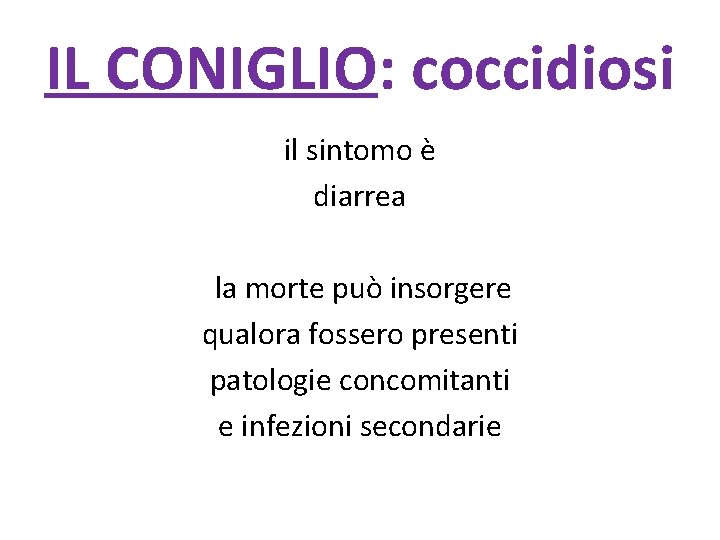 IL CONIGLIO: coccidiosi il sintomo è diarrea la morte può insorgere qualora fossero presenti