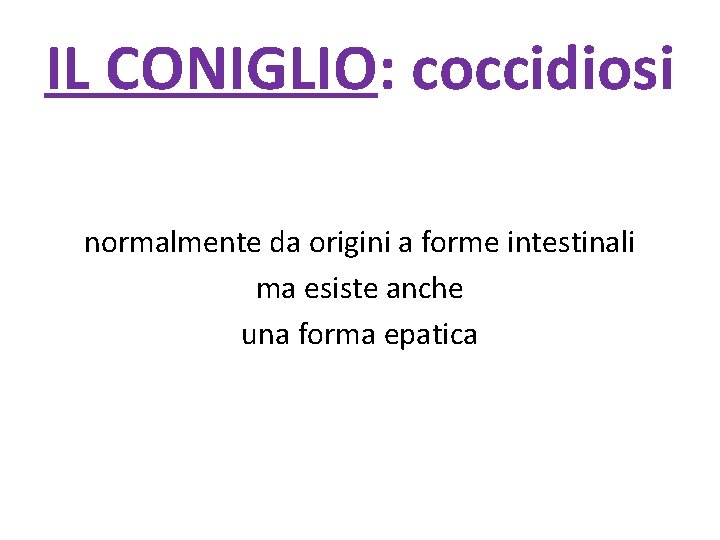IL CONIGLIO: coccidiosi normalmente da origini a forme intestinali ma esiste anche una forma