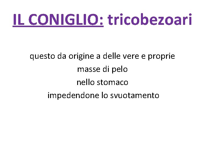 IL CONIGLIO: tricobezoari questo da origine a delle vere e proprie masse di pelo
