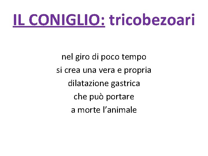 IL CONIGLIO: tricobezoari nel giro di poco tempo si crea una vera e propria