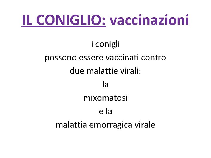 IL CONIGLIO: vaccinazioni i conigli possono essere vaccinati contro due malattie virali: la mixomatosi