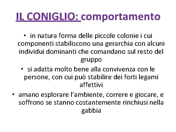 IL CONIGLIO: comportamento • in natura forma delle piccole colonie i cui componenti stabiliscono