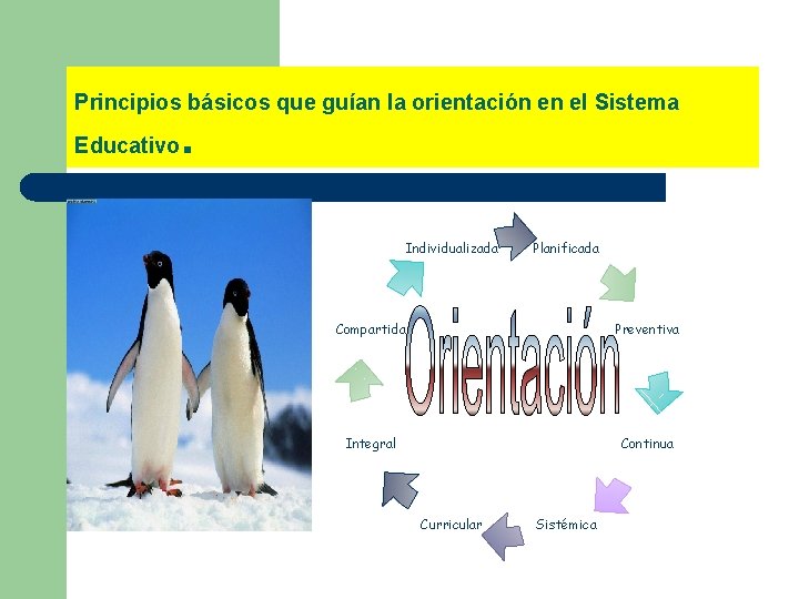 Principios básicos que guían la orientación en el Sistema Educativo . Individualizada Planificada Compartida