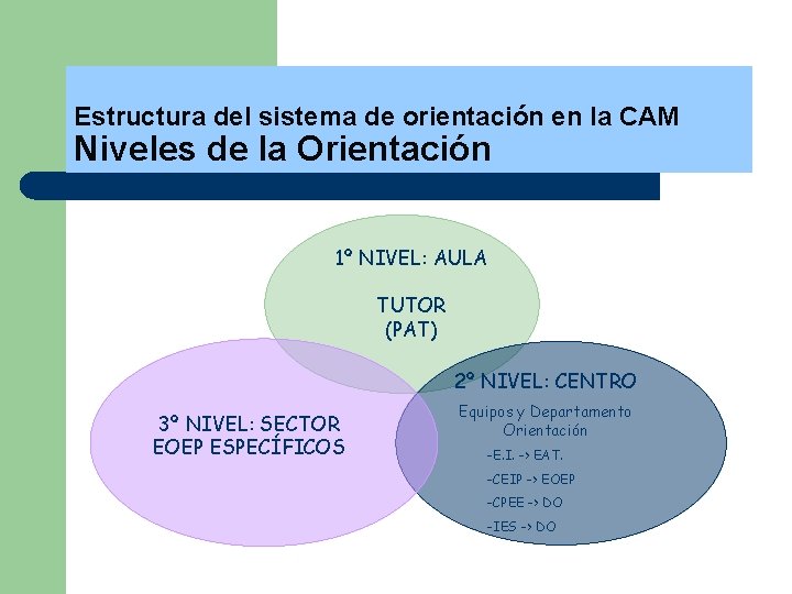 Estructura del sistema de orientación en la CAM Niveles de la Orientación 1º NIVEL: