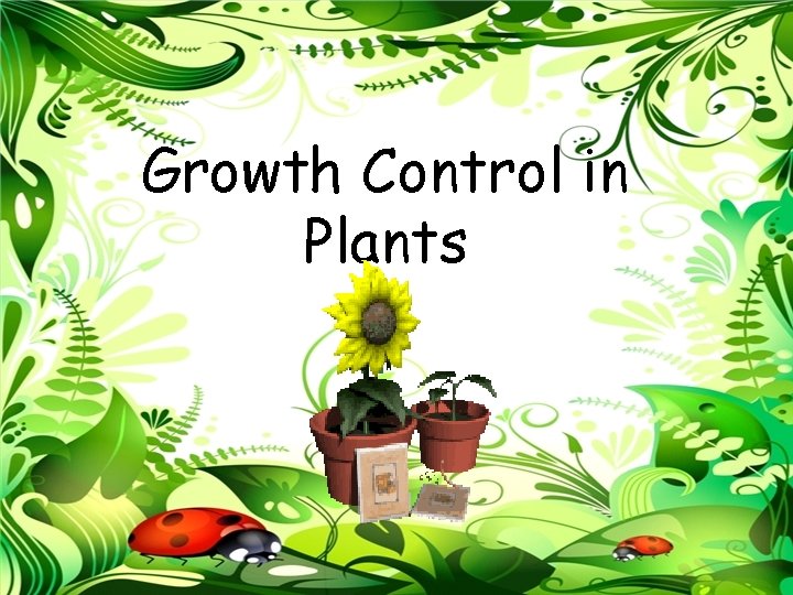 Growth Control in Plants 