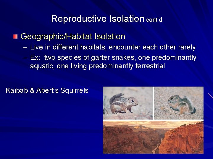 Reproductive Isolation cont’d Geographic/Habitat Isolation – Live in different habitats, encounter each other rarely