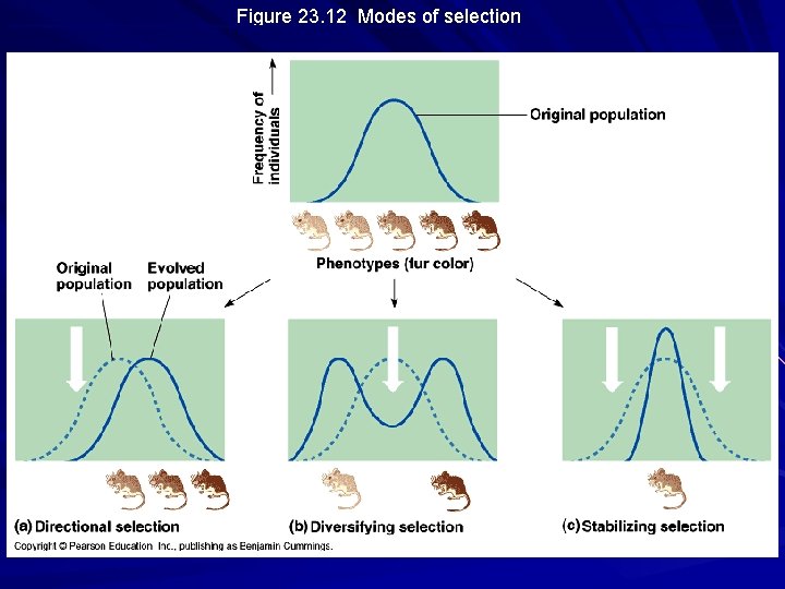 Figure 23. 12 Modes of selection 
