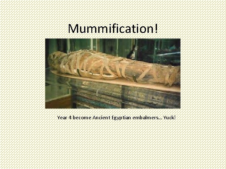 Mummification! Year 4 become Ancient Egyptian embalmers… Yuck! 
